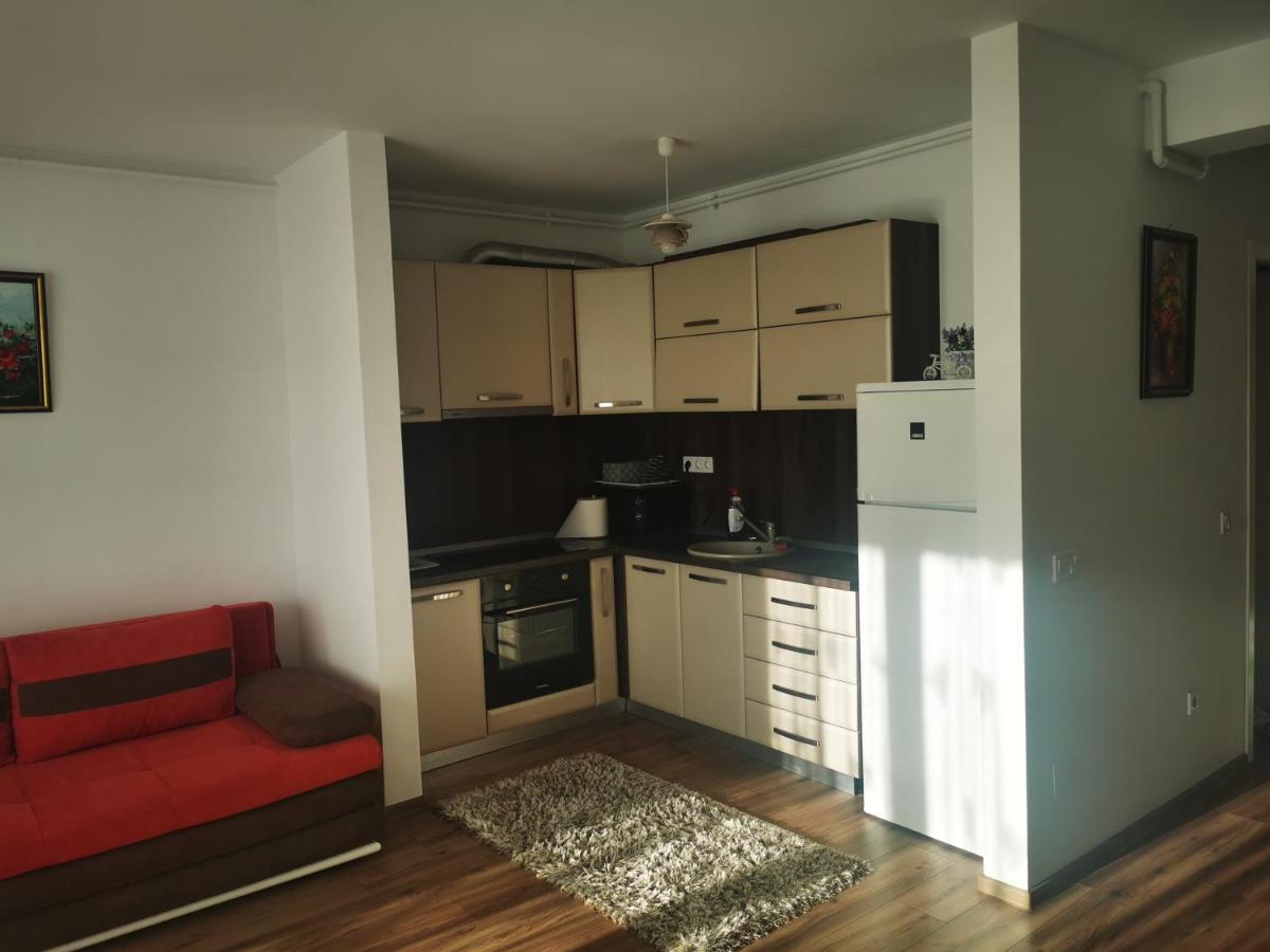 Apartamento Studio Green Târgu-Mureş Habitación foto